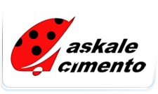 About Company